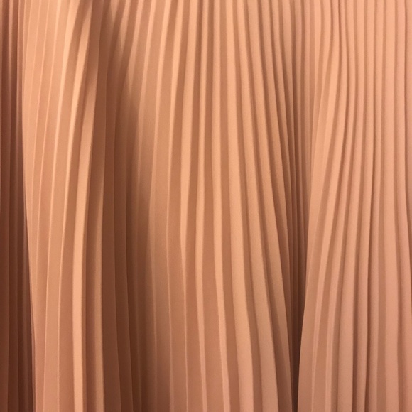 Pink Pleated Skirt - Picture 5 of 8